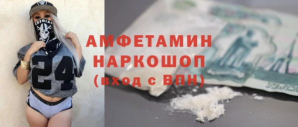 индика Ладушкин