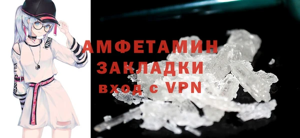 индика Ладушкин