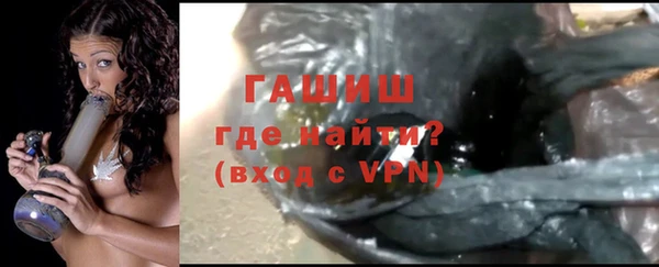 индика Ладушкин