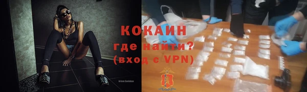 индика Ладушкин