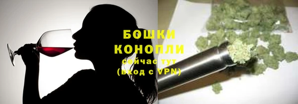 индика Ладушкин