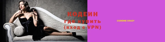 индика Ладушкин