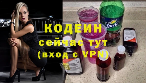 индика Ладушкин