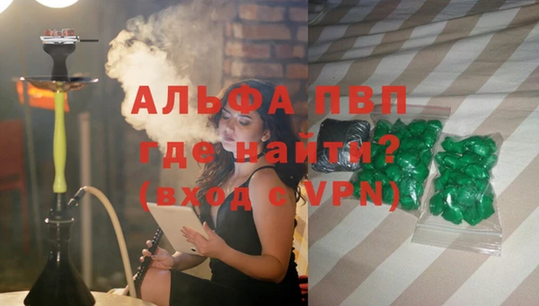 индика Ладушкин